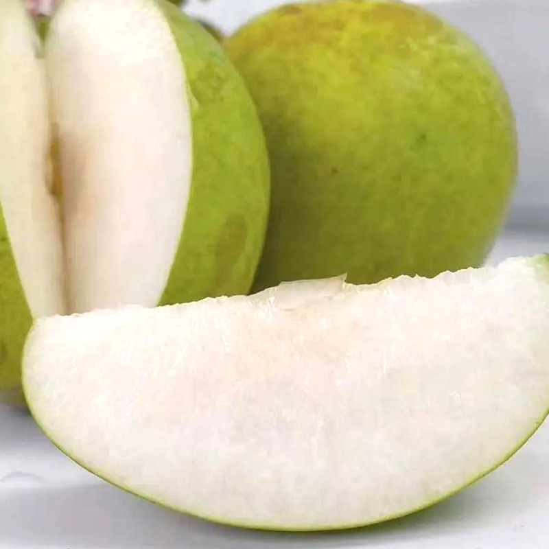 【云南嘟嘟】安徽千脆青蜜梨